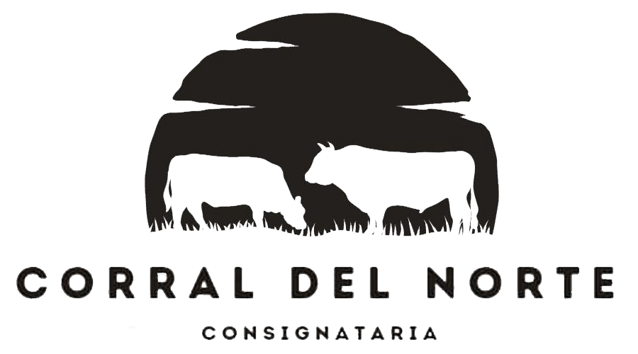 Logo Arroba Remates PY